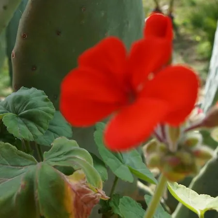 L'atmosfera Daire Brindisi